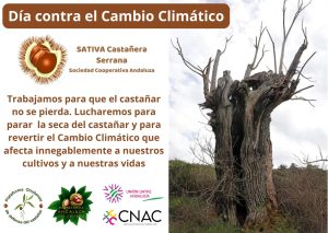Cartel contra el cambio climático con castaño seco
